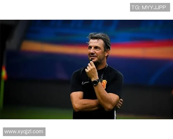 武汉网球队整体压制体系解析与战术应用研究