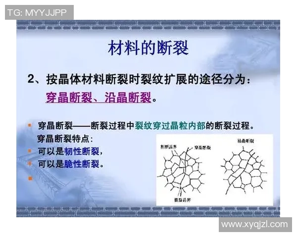 探索足球烯分子在材料科学与纳米技术中的应用潜力与前景分析