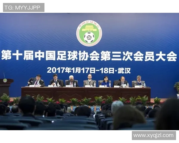 日本足球进入新时代青训改革与职业联赛发展双轮驱动的全新征程