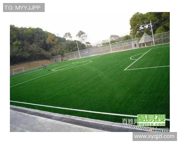 足球场割草机的创新设计与维护技巧助力足球场草坪健康成长