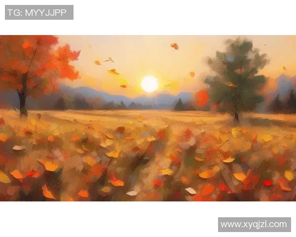 离别足球的情感交织与青春回忆的永恒印记 离别足球的情感交织与青春回忆的永恒印记