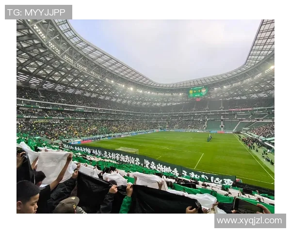 足球的魅力为何让每个人都应该爱上这项运动